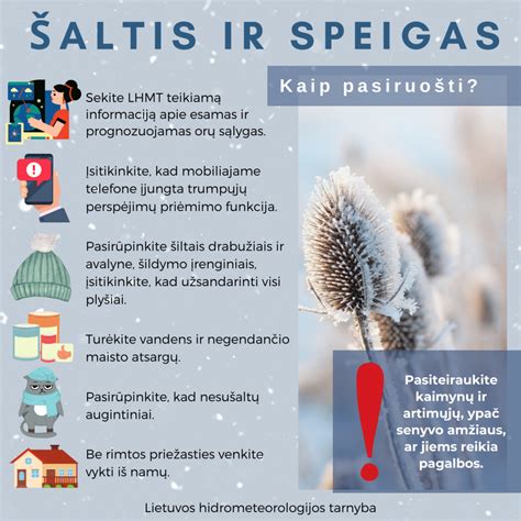 Infografika: Priemonės ir praksės skirtos skirtingoms dangoms prižiūrėti