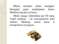 Infografika: Medienos džiovinimo palyginimas: natūralus, konvekcinis, vakuuminis