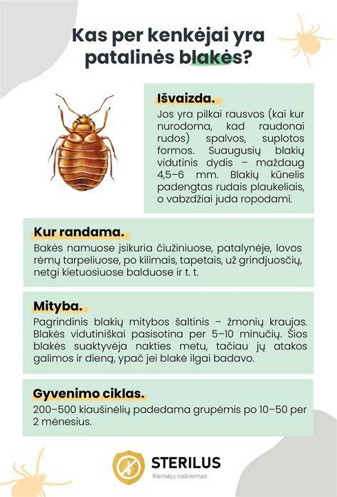 Infografika: kaip atrodo blakės ir kur slepiasi