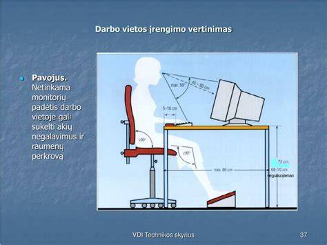Ergonominės darbo vietos principų vizualizacija