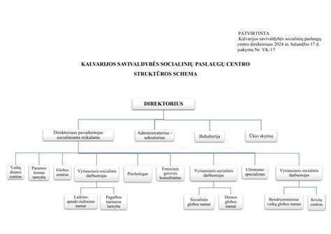 Infografika: bendradarbiavimo procesai socialiniame darbe