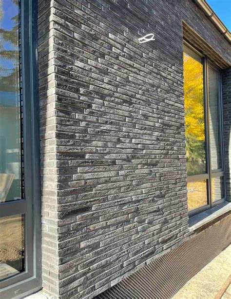 Skalūno apdailos fasado detalių vaizdas