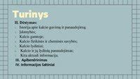 Infografika apie putplasčio savybes ir panaudojimą rankdarbiams