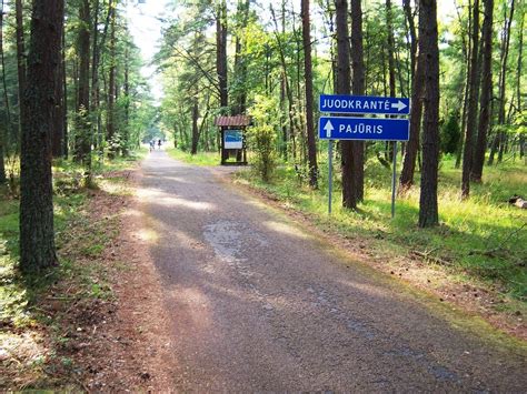 dviračių takas Kuršių nerijoje