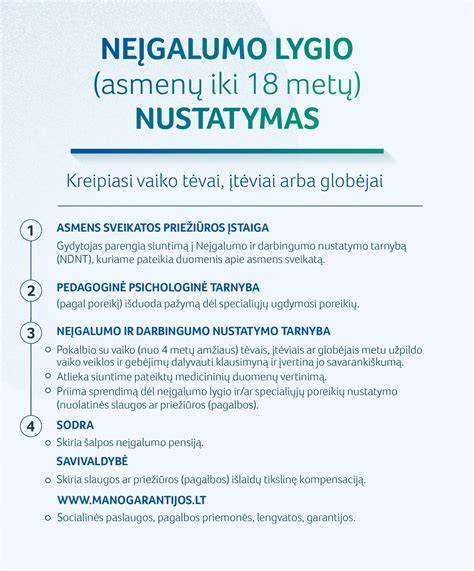 Infografika: grindų lygio nustatymo pasirinkimai ir jų savybės