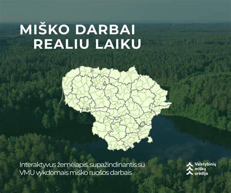 Miško ruošos ir perdirbimo proceso schema