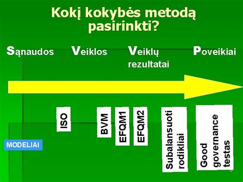 schematinis e.valdžios vertinimo modelis