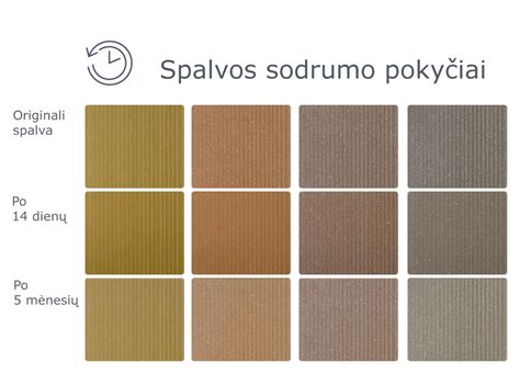 Tagimg: Termo medienos vizualizacija ir spalvos pokyčiai laikui bėgant