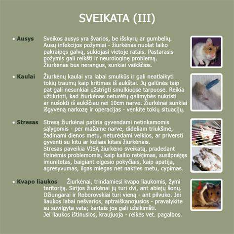 Infografika: Kad kugelis gavosi nuoseklus su skirtingais skonio papildais