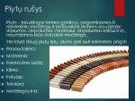 Infografika: Plytų rūšys ir jų savybės
