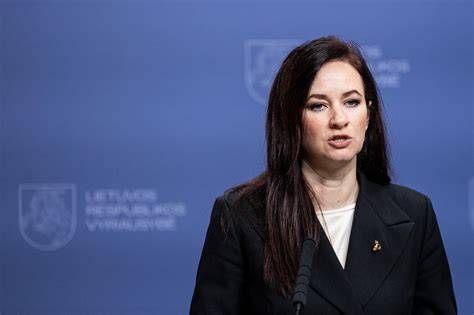 Schemos: Konstitucijos įgyvendinimo grandinė (Seimas - Vyriausybė - teismai)