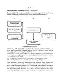 Senovės simbolikos tyrimų schema