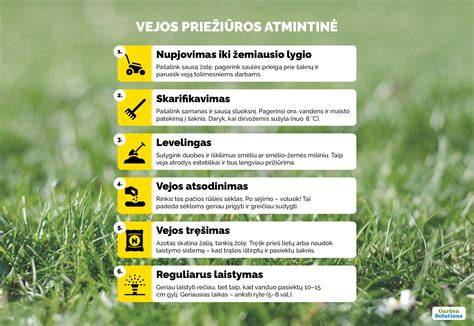 Infografika: montavimo žingsniai plastikiniais vejos borteliais