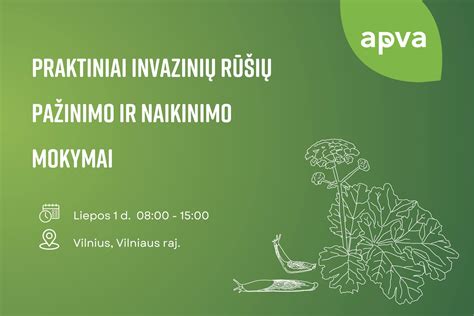 Infografika: populiariausių metalo rūšių atpažinimo gairės