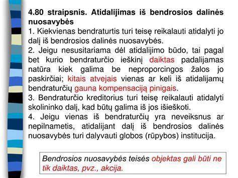 Infografika: Bendrosios vs asmeninės vamzdžių nuosavybės schema