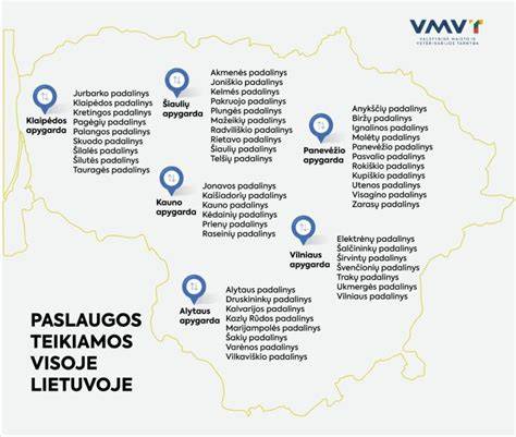 Teikiamos paslaugos ir pristatymas Lietuvoje