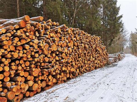 Mišrios malkos, sukrautos sandėlyje