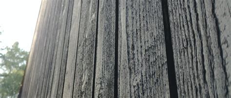 Degintos medienos fasadas su unikalia tekstūra