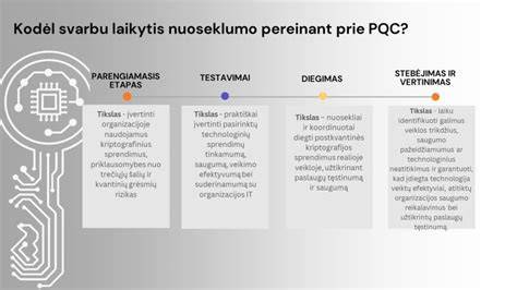 Eksperto konsultacijos nuoseklus procesas