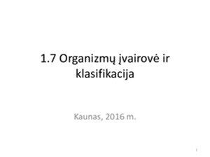 Plastifikatorių įvairovė ir klasifikacija infografika