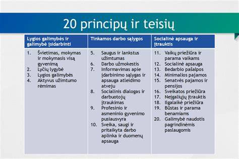 Infografika: 20 Ramsčio principų ir jų įgyvendinimo sritis