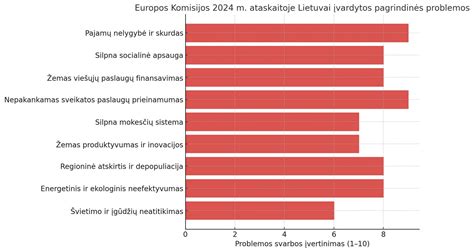 Infografika: socialinės įtraukties prioritetų prioritetai Lietuvoje