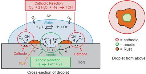 Elektrolitinės korozijos vandenyje schema