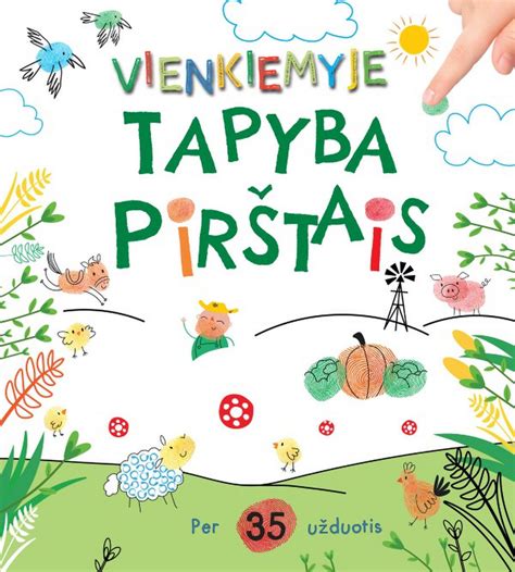 Teorinė ir praktinė čerpių klojimo seka