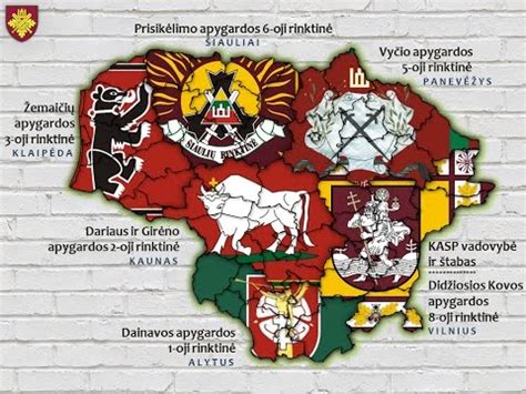 statybinė apdaila infografika struktūra