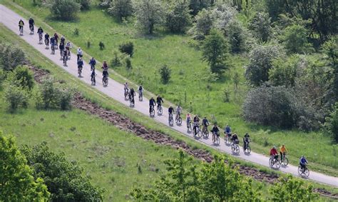 Dviračių takas Radviliškyje