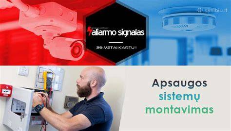 Infografika: stebėjimo sistemos, atsakomybės grandinė, įmonės vidiniai kontrolės mechanizmai