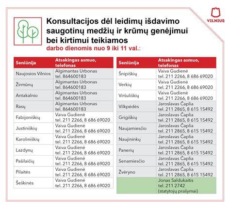 Infografika: pavojingų medžių identifikavimas ir kirtimo eiga