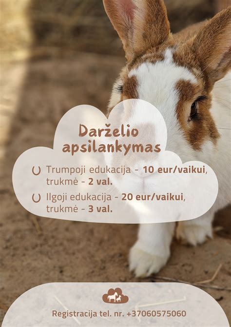 Infografika: perdangų tipų palyginimas, jų svoris, kaina ir montavimo trukmė