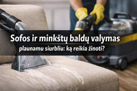 Infografika: kaip veikia garų valymas ir ką sėkmingai suvaldo 2-in-1 prietaisas