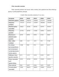 Grindų įmonės apžvalginė infografika: pajamų kritimo kreivė, nuostolio dinamika ir nuosavo kapitalo pokytis