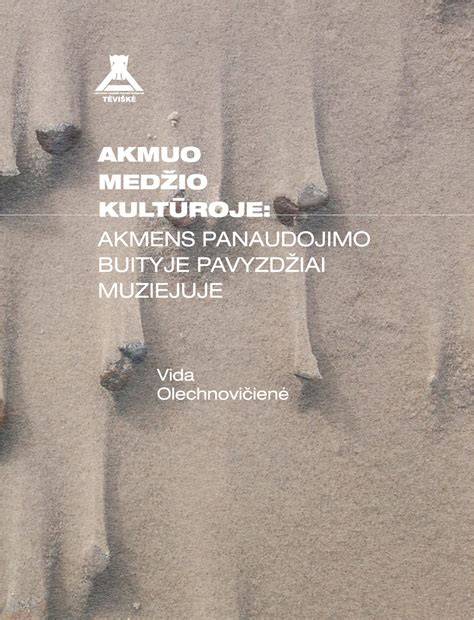 Geokorių panaudojimo pavyzdžiai aikštelėse ir krantinėse