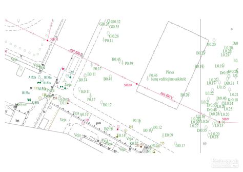 Medienos matavimai ir statistika