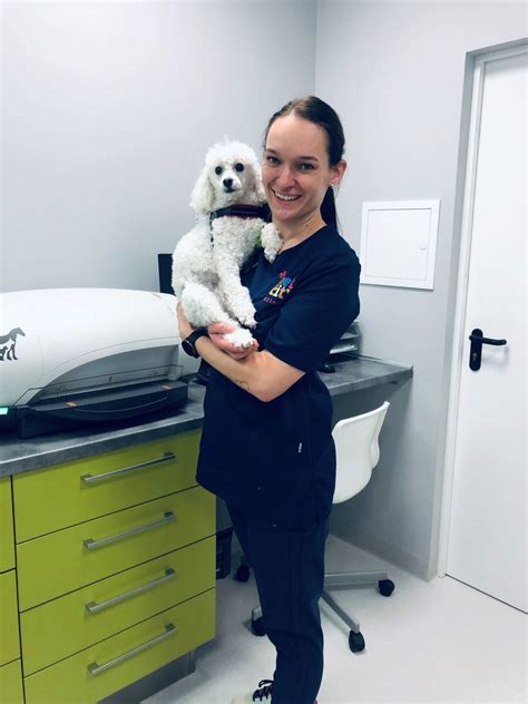 Veterinarinės klinikos interjeras