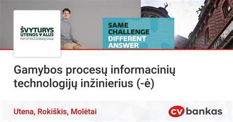 Gamybos procesų vizualizacija