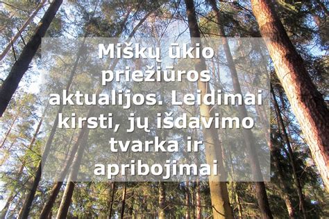 Infografika apie GMP principų hierarchiją: įrašai, apribojimai, patikros ir kalibravimas