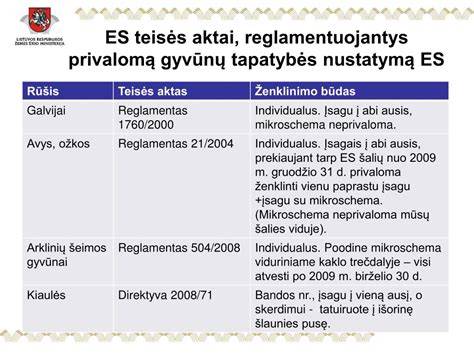 Kakavos miltelių reglamentavimo schema: pagrindiniai teisės aktai, ženklinimo reikalavimai ir produkto sudėtis