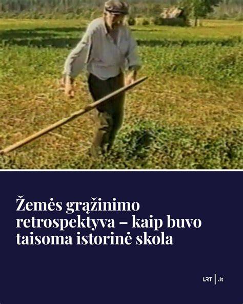 Infografika: kaip atrodytų teisingas siūlių glaistymo procesas