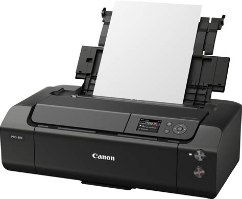 Canon Pro spausdinimo kokybė reprodukcijose