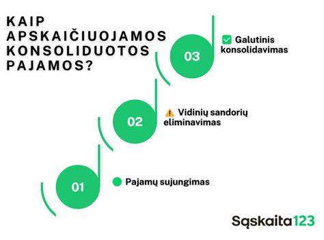 Infografika: įmonės pagrindiniai duomenys (pajamos, pelnas, kapitalas, turtas, įsipareigojimai)