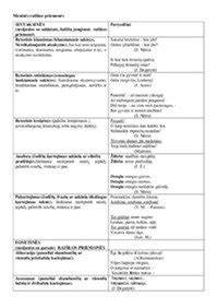 ERMI priemonės asortimento pavyzdys
