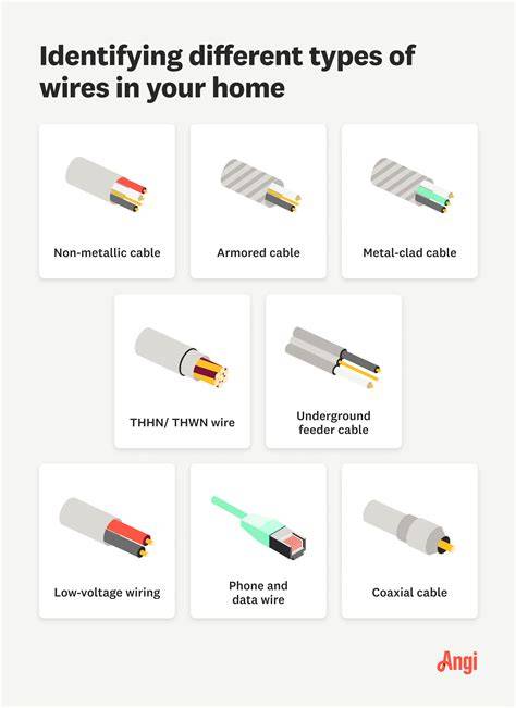 https://example.com/images/profile-types-infographic.png