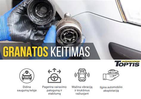 Granatos keitimo nuotraukos servise