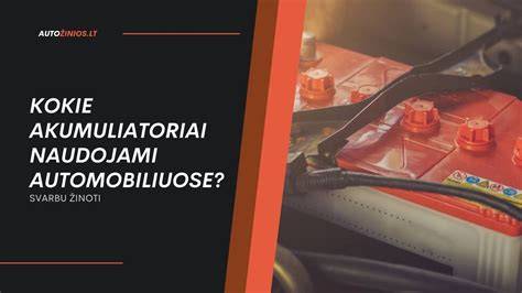 Infografika: kokie medžiagų tipai naudojami palėpėje