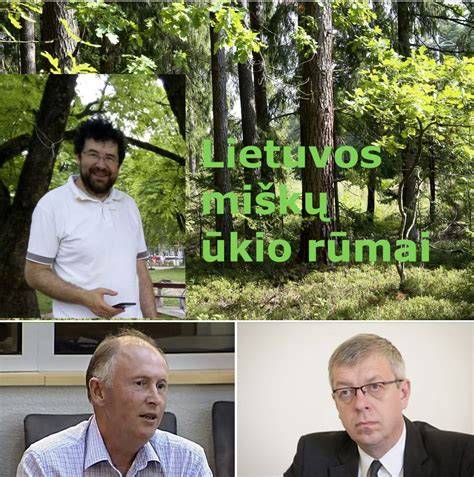 Infografika: Miškų politika ir sprendimų grandinė