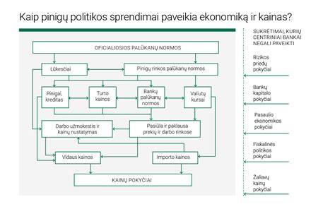 Infografika: Kaip veikia Lietuvos miškų politika ir finansavimas